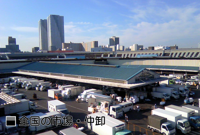 �S���̎s��E����