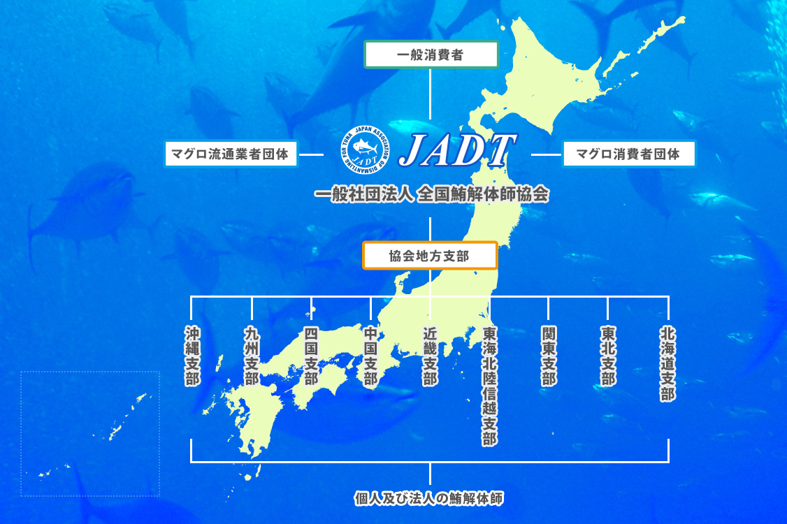 一般社団法人 全国鮪解体師協会 マグロ解体ショー 全国鮪解体師協会 まぐろ解体師の資格取得